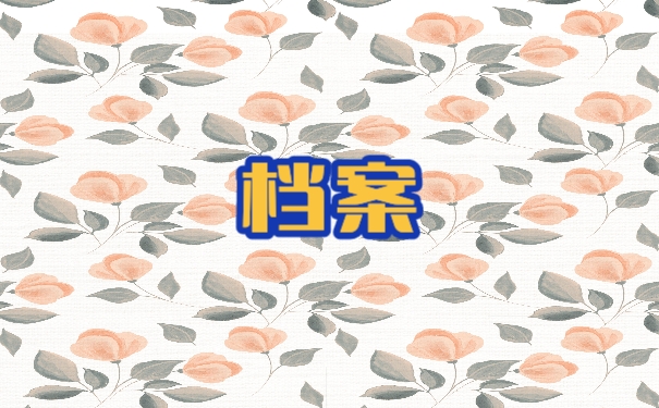 档案