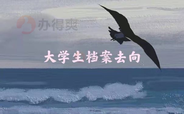 河南省大学生档案去向