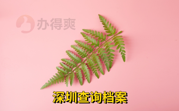 深圳查询档案